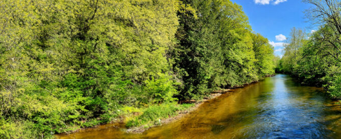 Creek Header