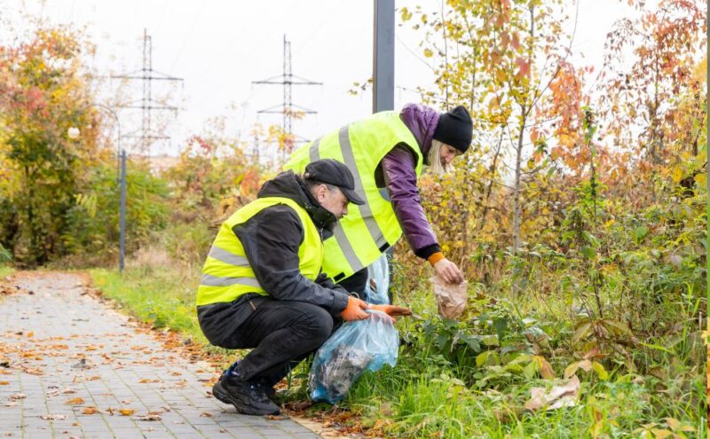 Fall Clean-Up | Cooperstown Borough